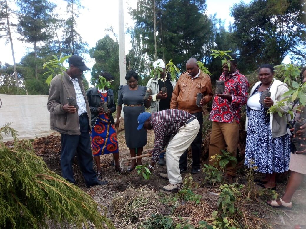 Kenya Colonial Plantation Homestay Mountain Homestays