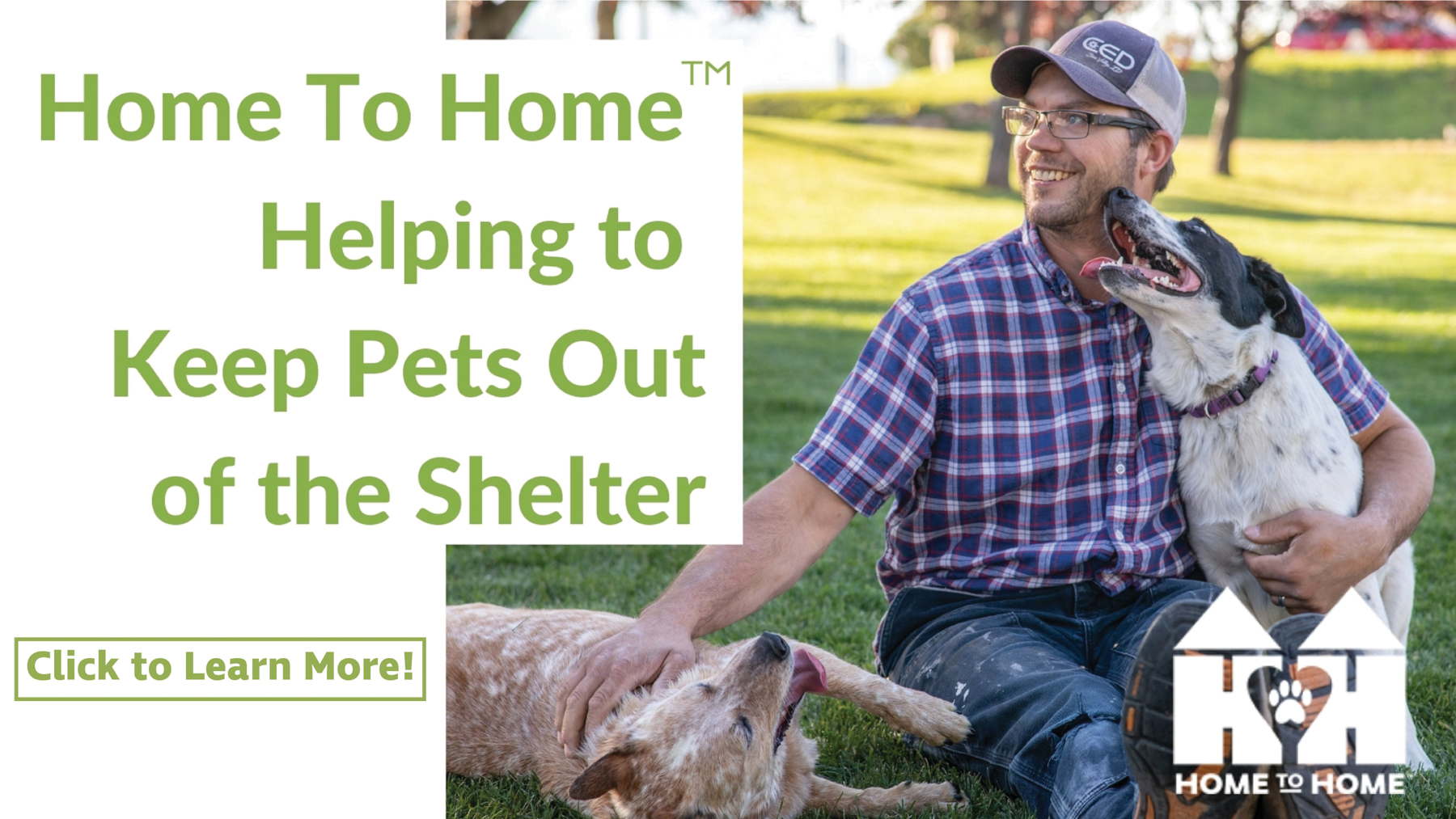 Home Mountain Humane