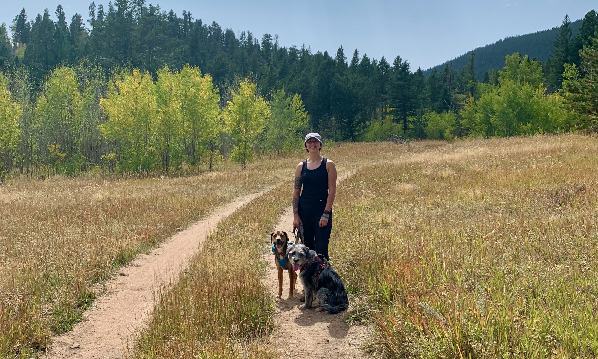 Mountain Mutts Dog Grooming