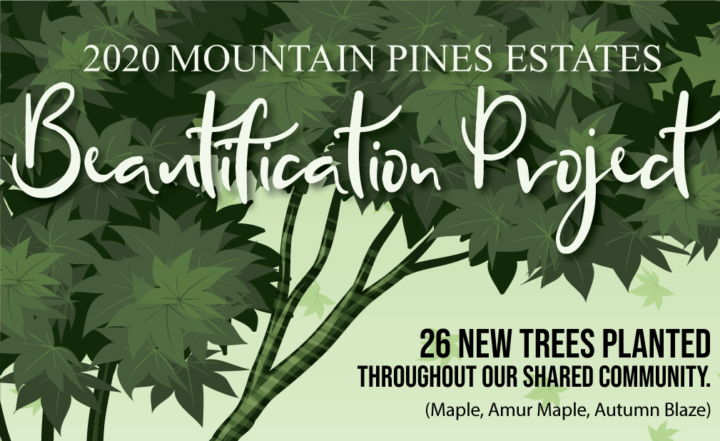 Mountain Pines Estates Home Owners Association MPE HOA