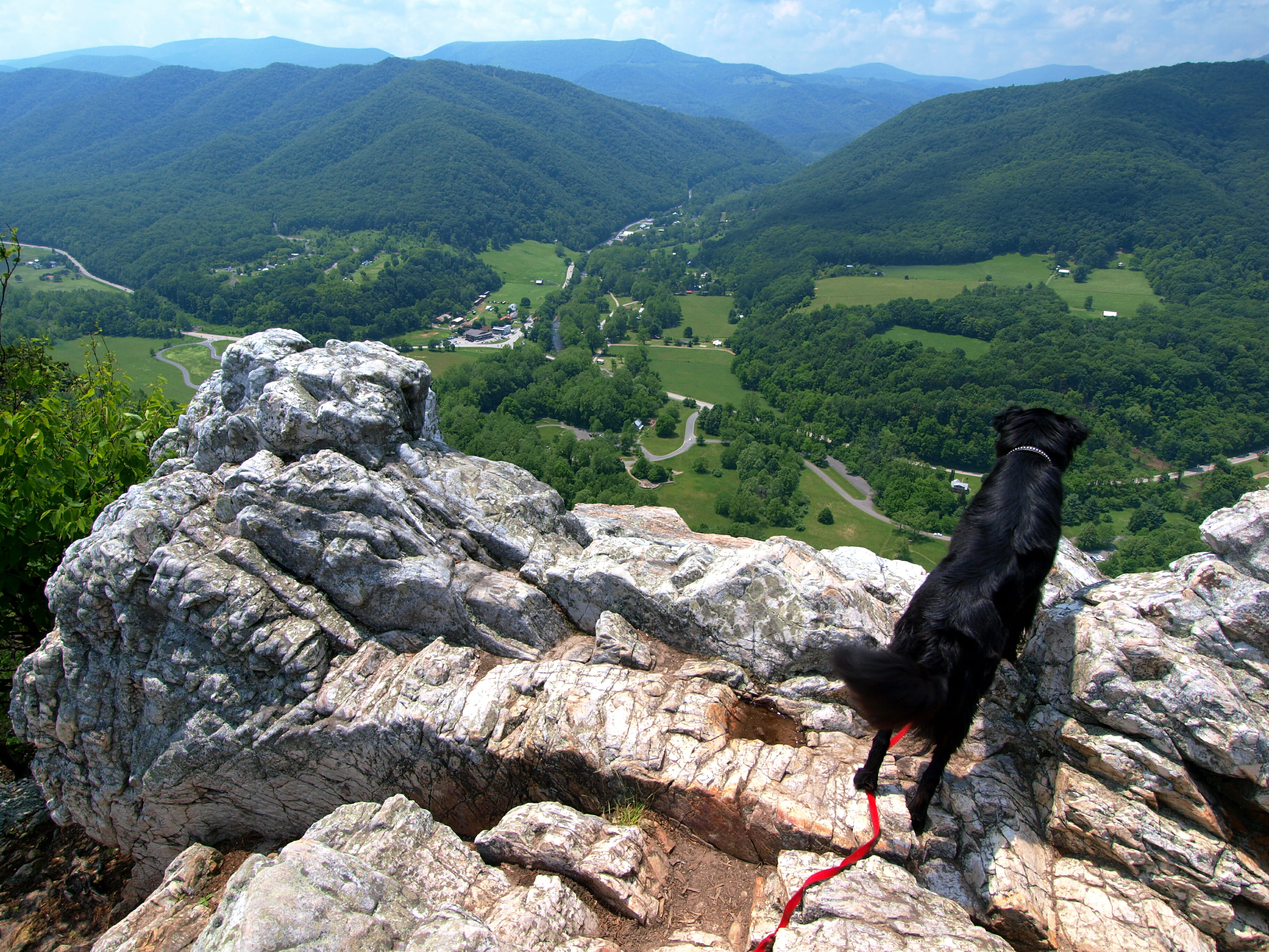 Relax and Enjoy Beautiful Nature at Seneca Rocks Mountaintop Condos