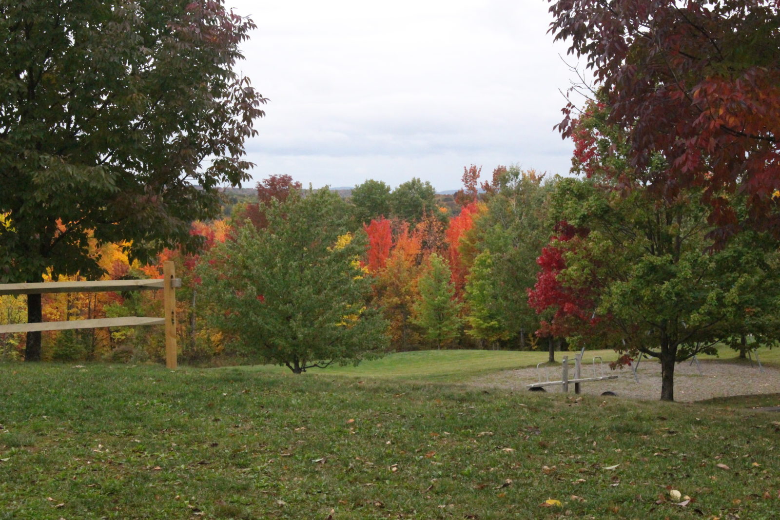 Corporate Business Events Binghamton, NY Mountain Top View
