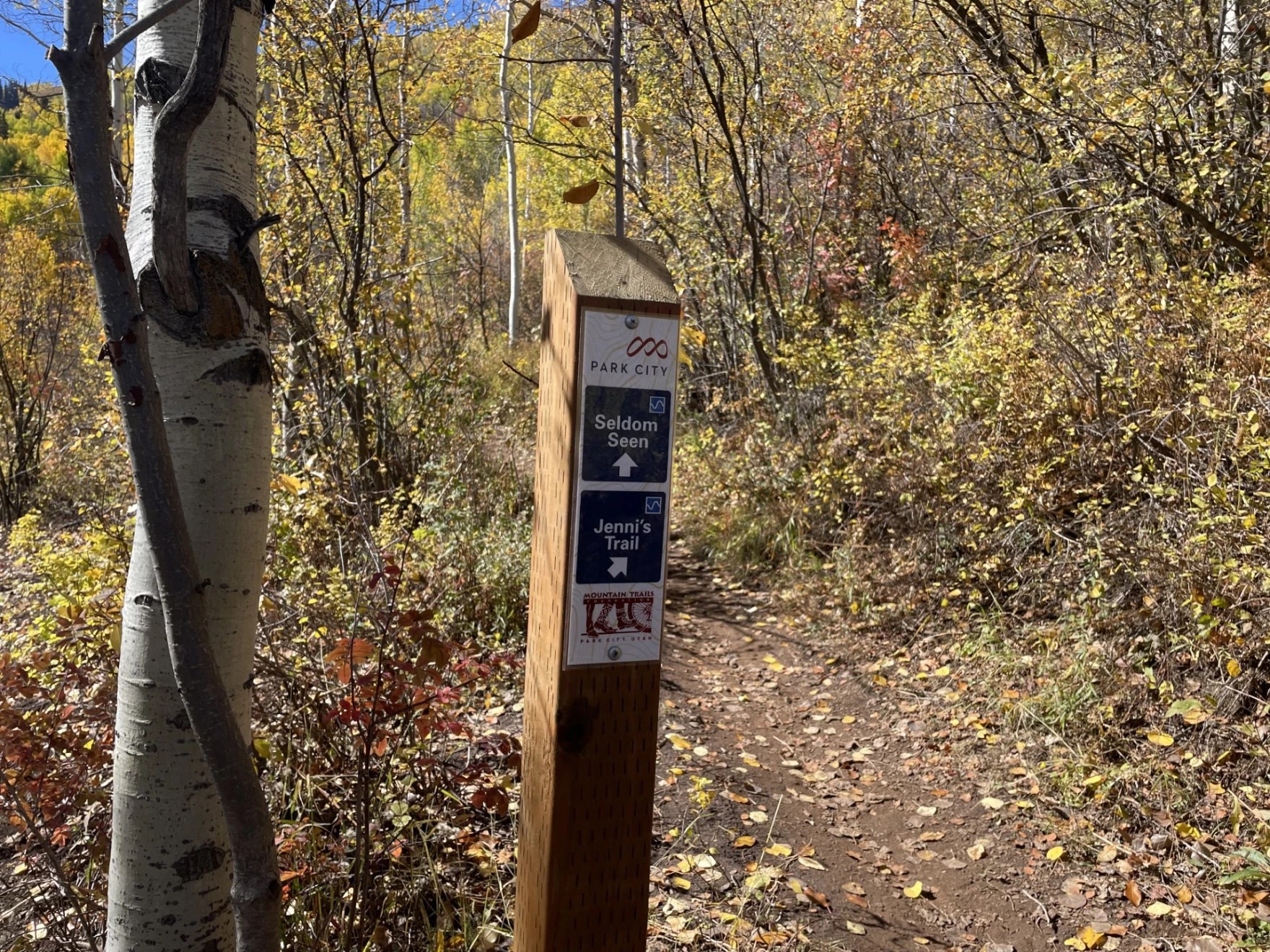 You Are Invited to a Ribbon Cutting Seldom Seen Trail Mountain Trails