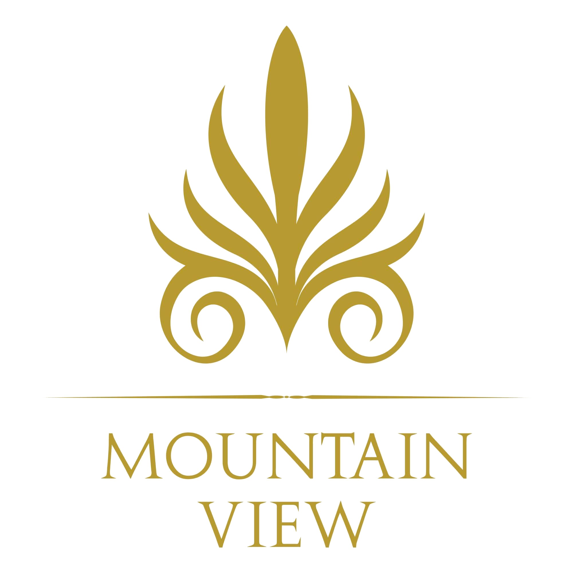 شركة ماونتن فيو للتطوير العقاري