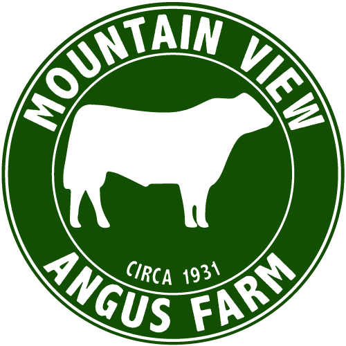 Mountain View Angus Farm