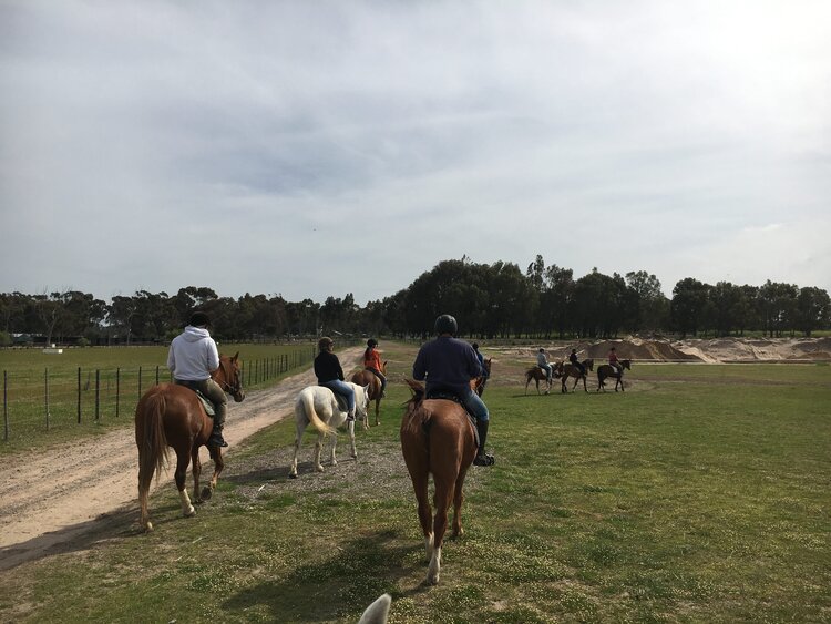 Trail Rides Mountain View Horse Trails