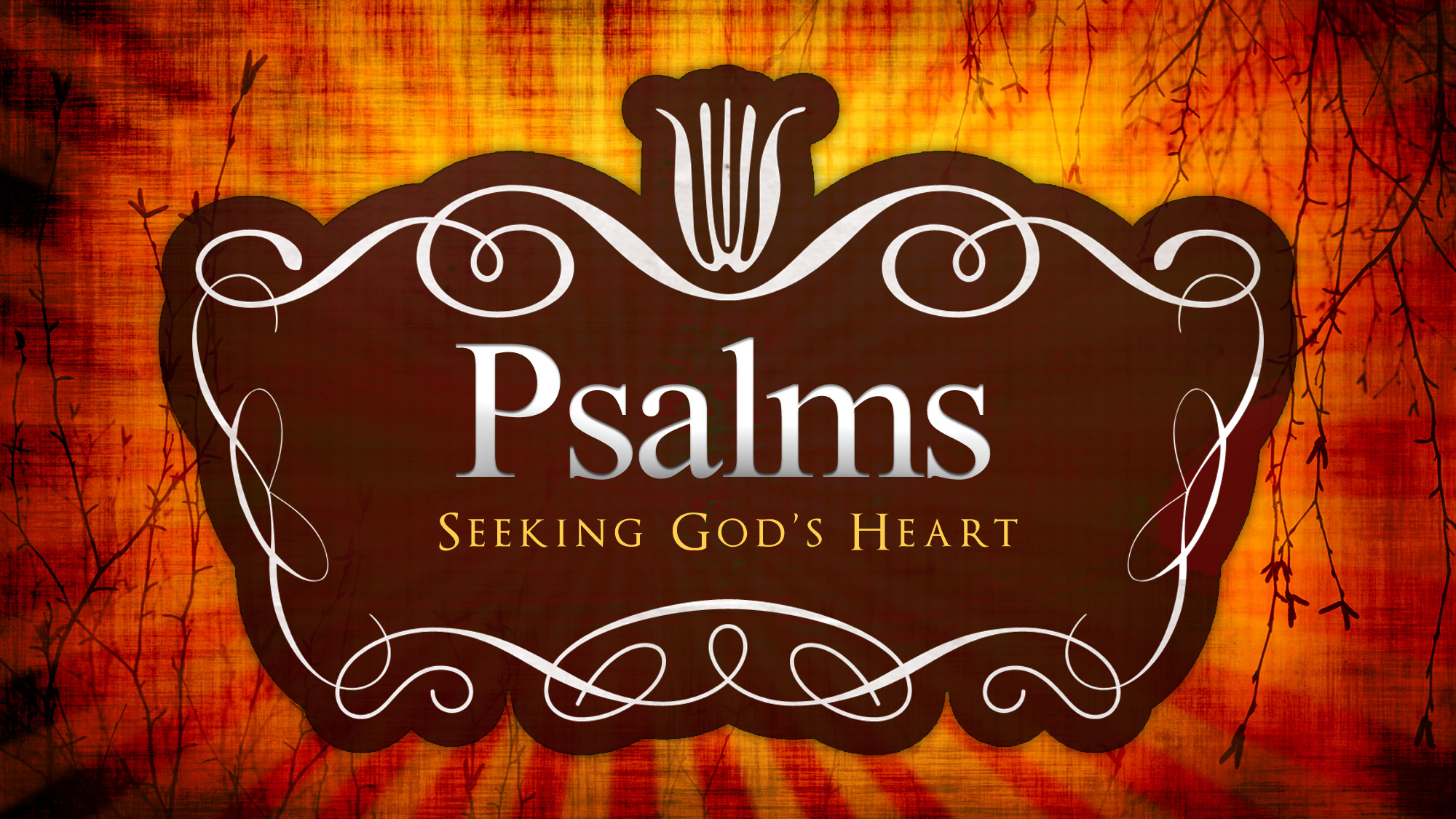 When Life Throws You a Curve Ball Mountain View Bible Church