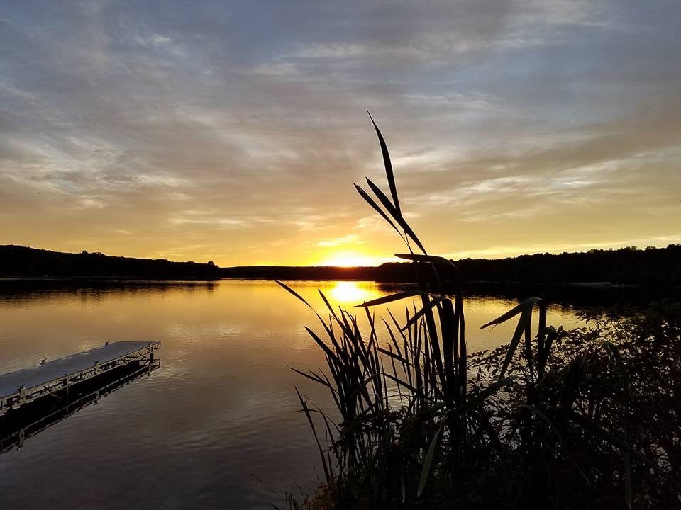  Mountain Vista Real Estate