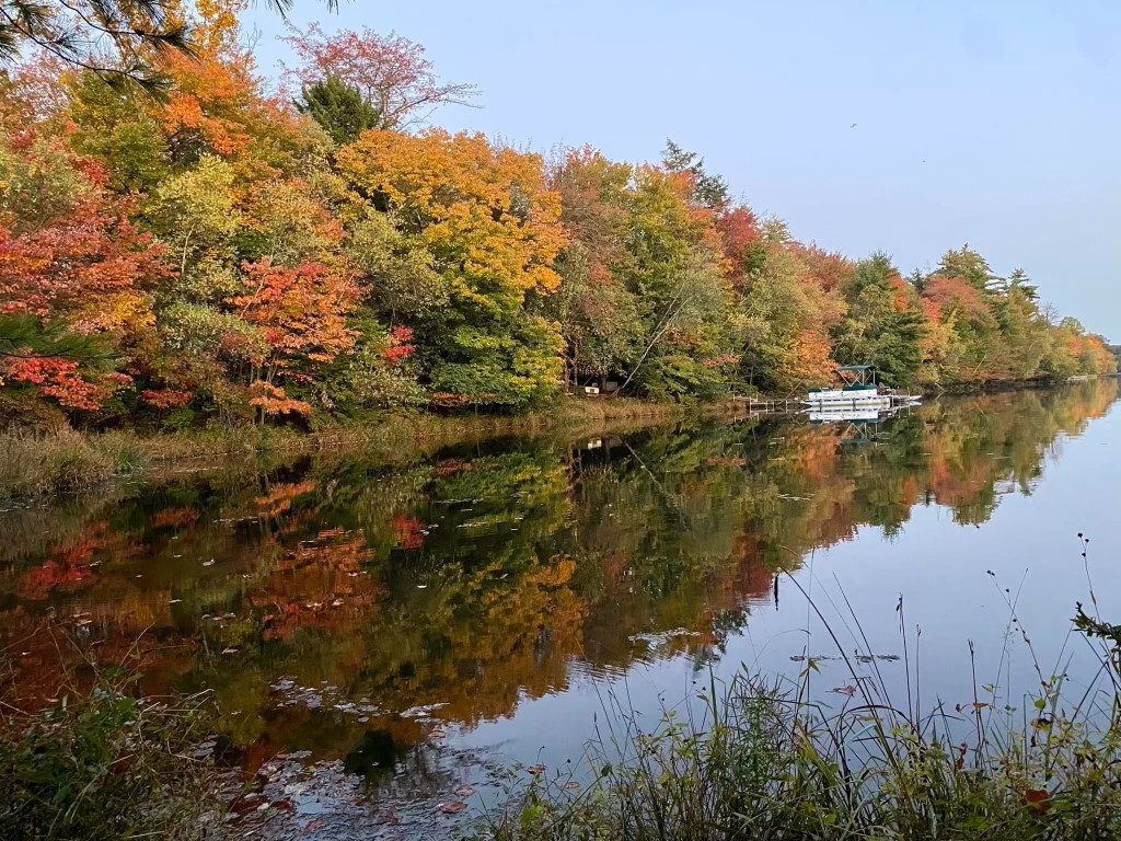 Mountain Vista Real Estate Join Our Team