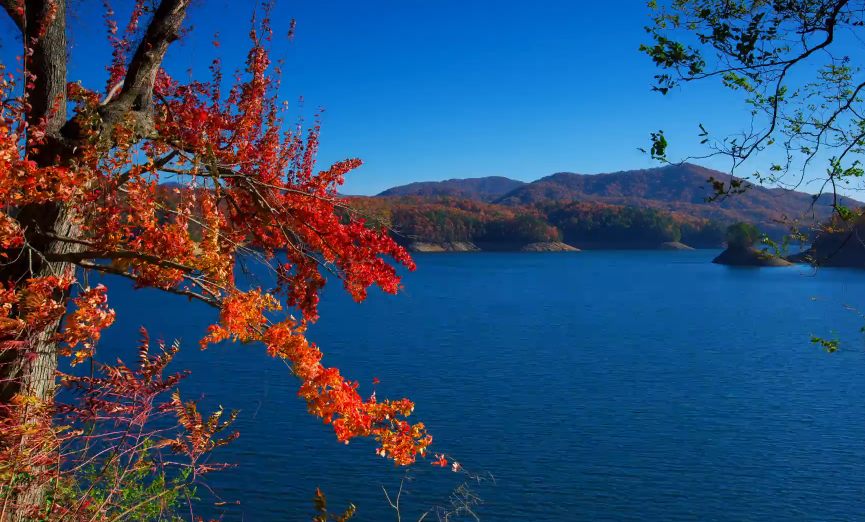 Video captures Great Smoky Mountain National Park during peak fall