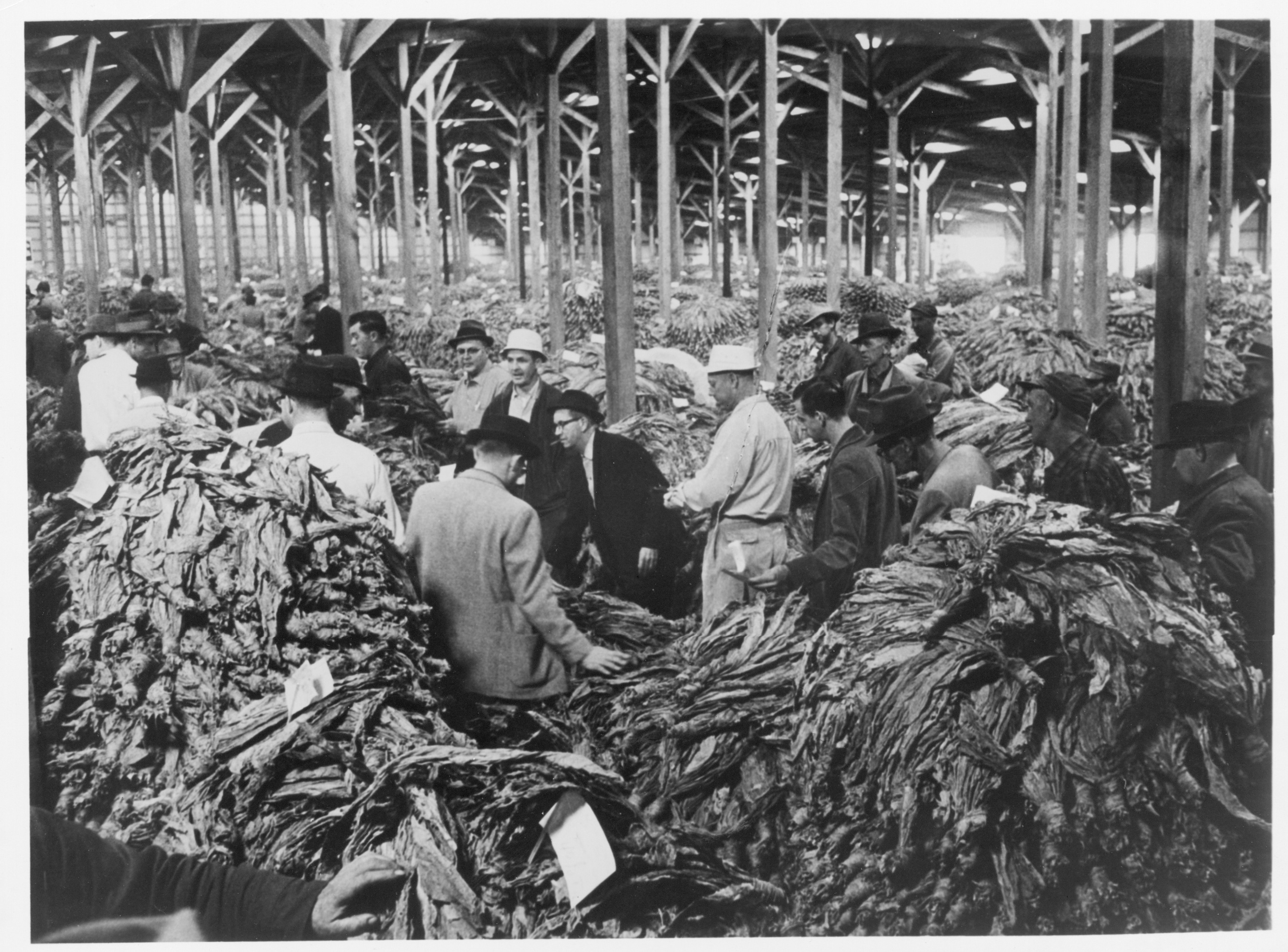 Smoke and mirrors the death of tobacco in WNC Mountain Xpress