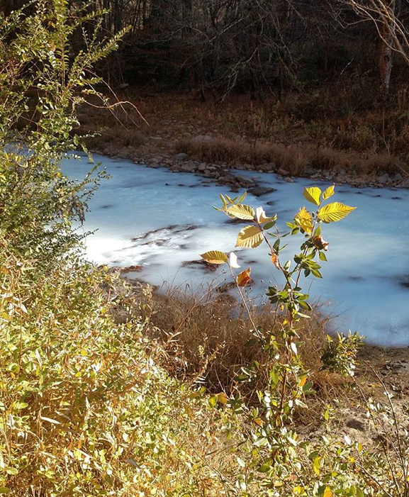 Updated Chemical spill affects Laurel and French Broad rivers in