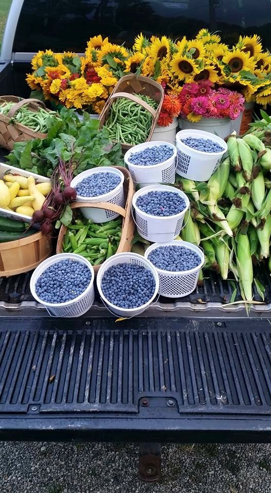 Mills River Farmers’ Market opens for 2017 season, May 6 Mountain Xpress