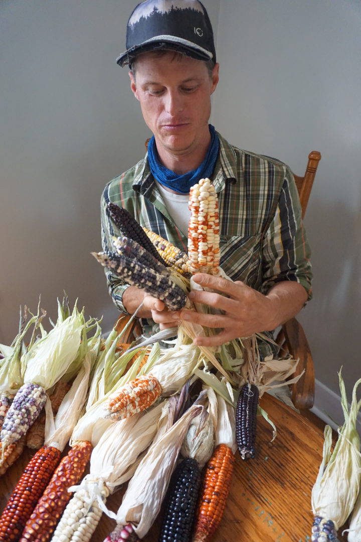WNC farmers experiment with resilient crops for a changing climate