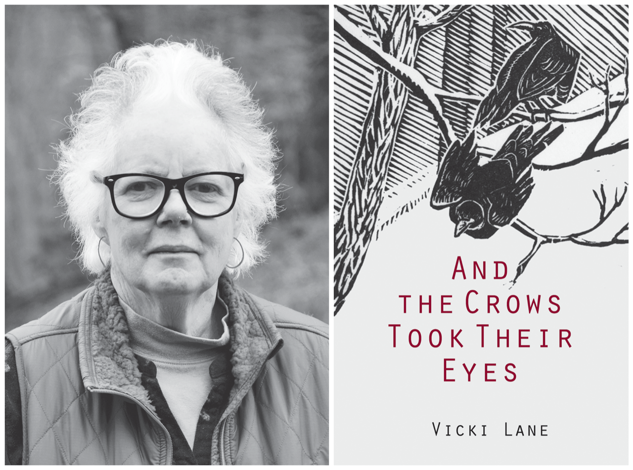 Author Vicki Lane takes multiple views of the Shelton Laurel Massacre – Mountain Xpress