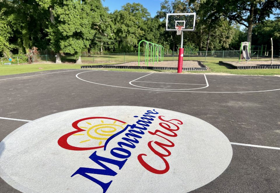 Fresh Chicken Products Manufacturer Mountaire Farms Mountaire Farms