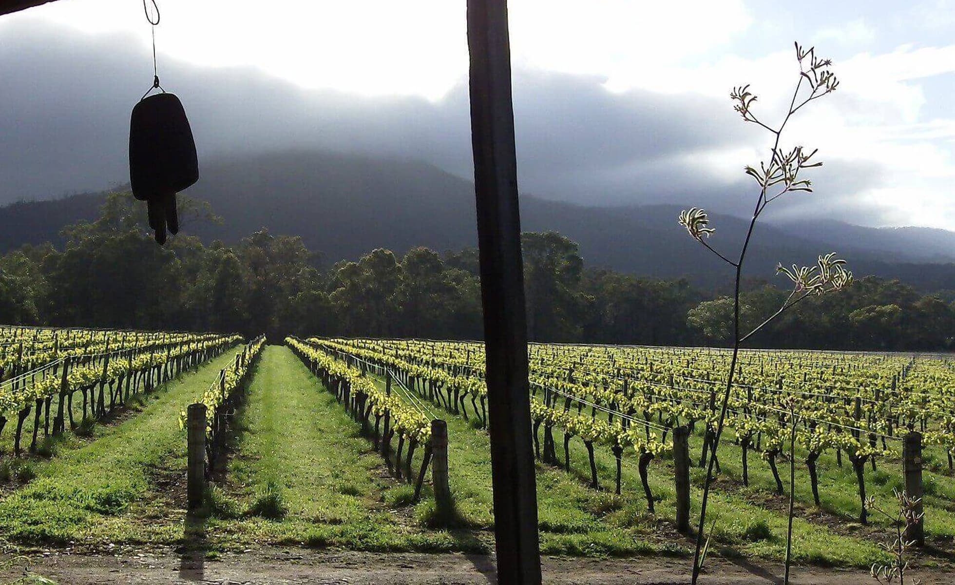 Places To Stay Mount Barker