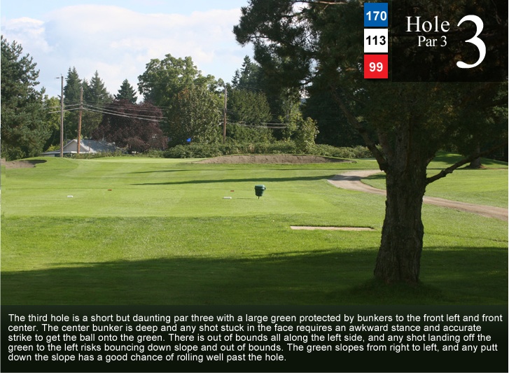 Hole Three Mount Brenton Golf Course