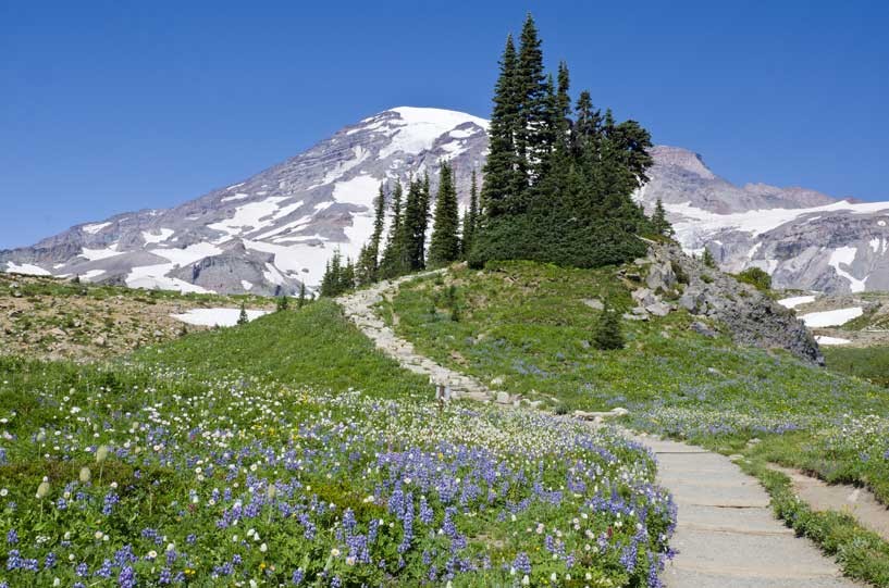 Mt. Rainier Activities & Attractions near Ashford, Washington