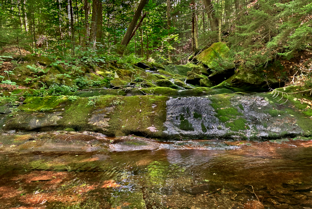 Doolittle South Mountain Lands Mount Holly Conservation Trust