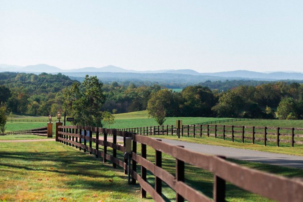 Sale > mount ida vineyard > in stock