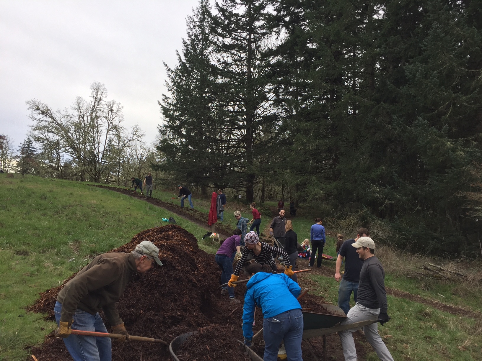 Volunteer Mount Pisgah Arboretum