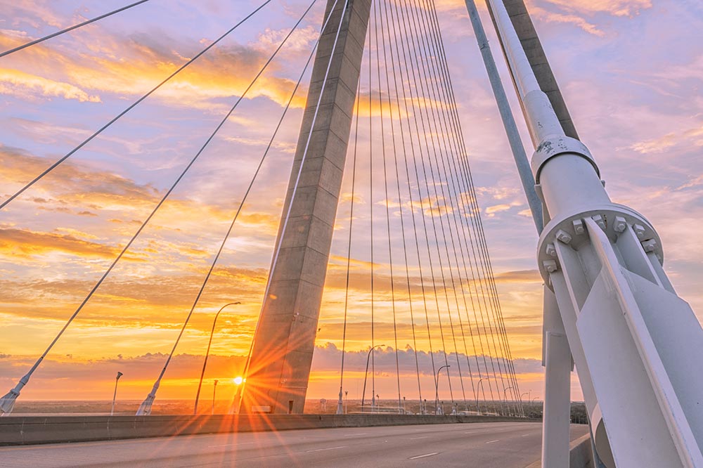 Partners Mount Pleasant Economic Development