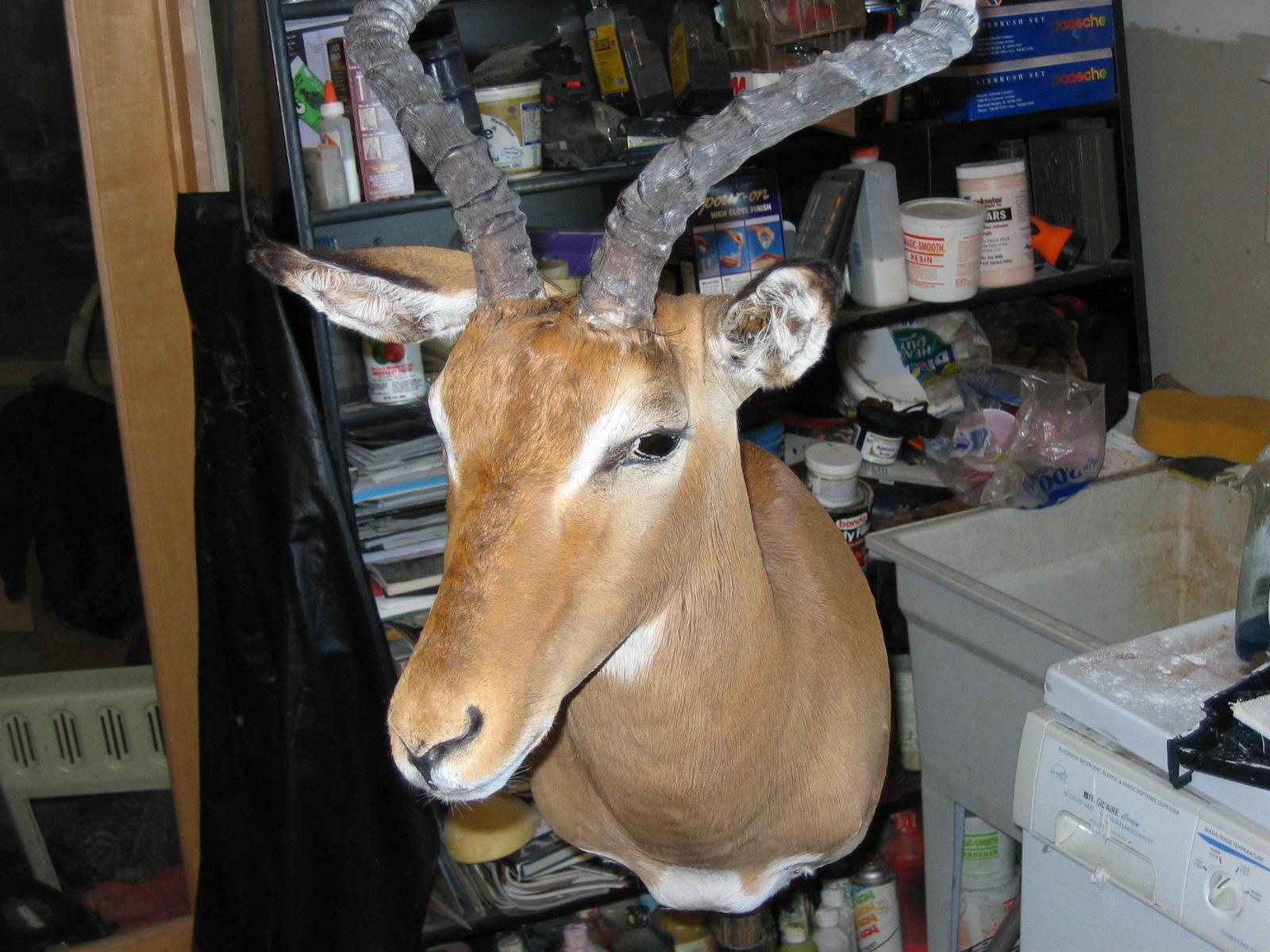 African / Exotic Species Mounts & Memories Taxidermy