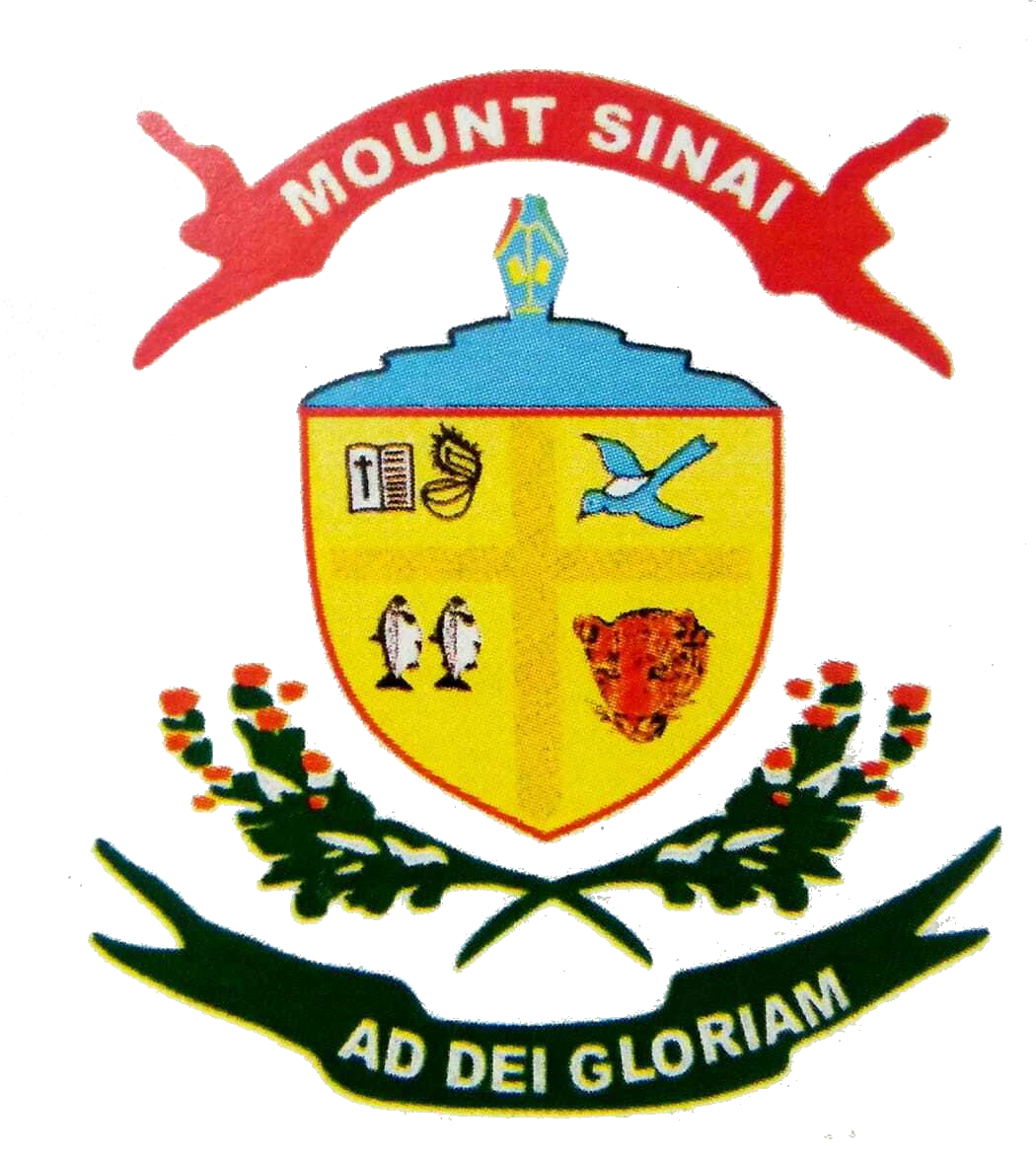 Mount Sinai School