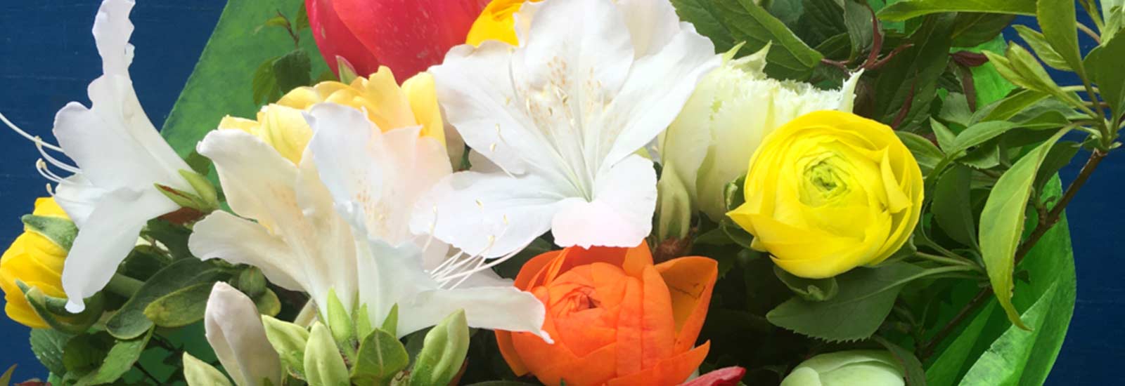 Helen's Garden Mount Vernon Place, Baltimore