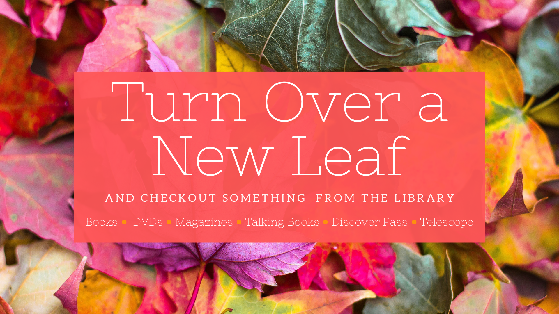 Library Mount Vernon, WA Official site