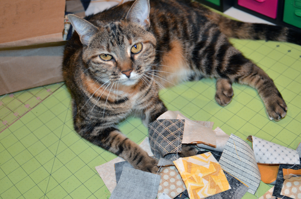 (Not) Purdue Quilt Update Mouse in My Pocket