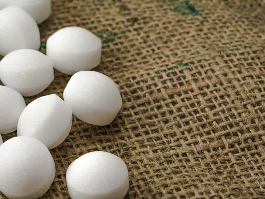 Do Mice like Mothballs? Or is it a waste? Mouse Trap Guide