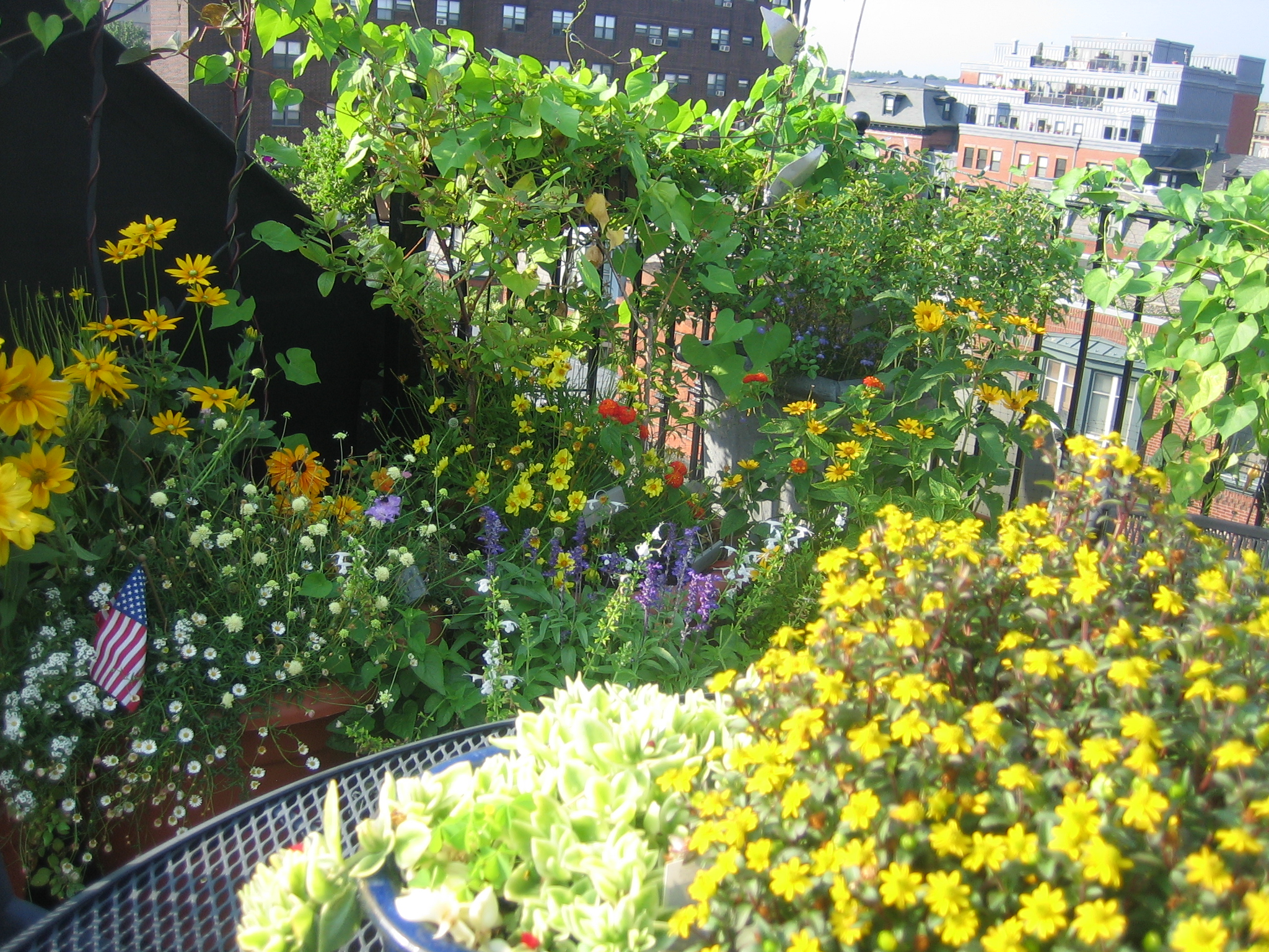 wildflower wall Move Forward Without Fear