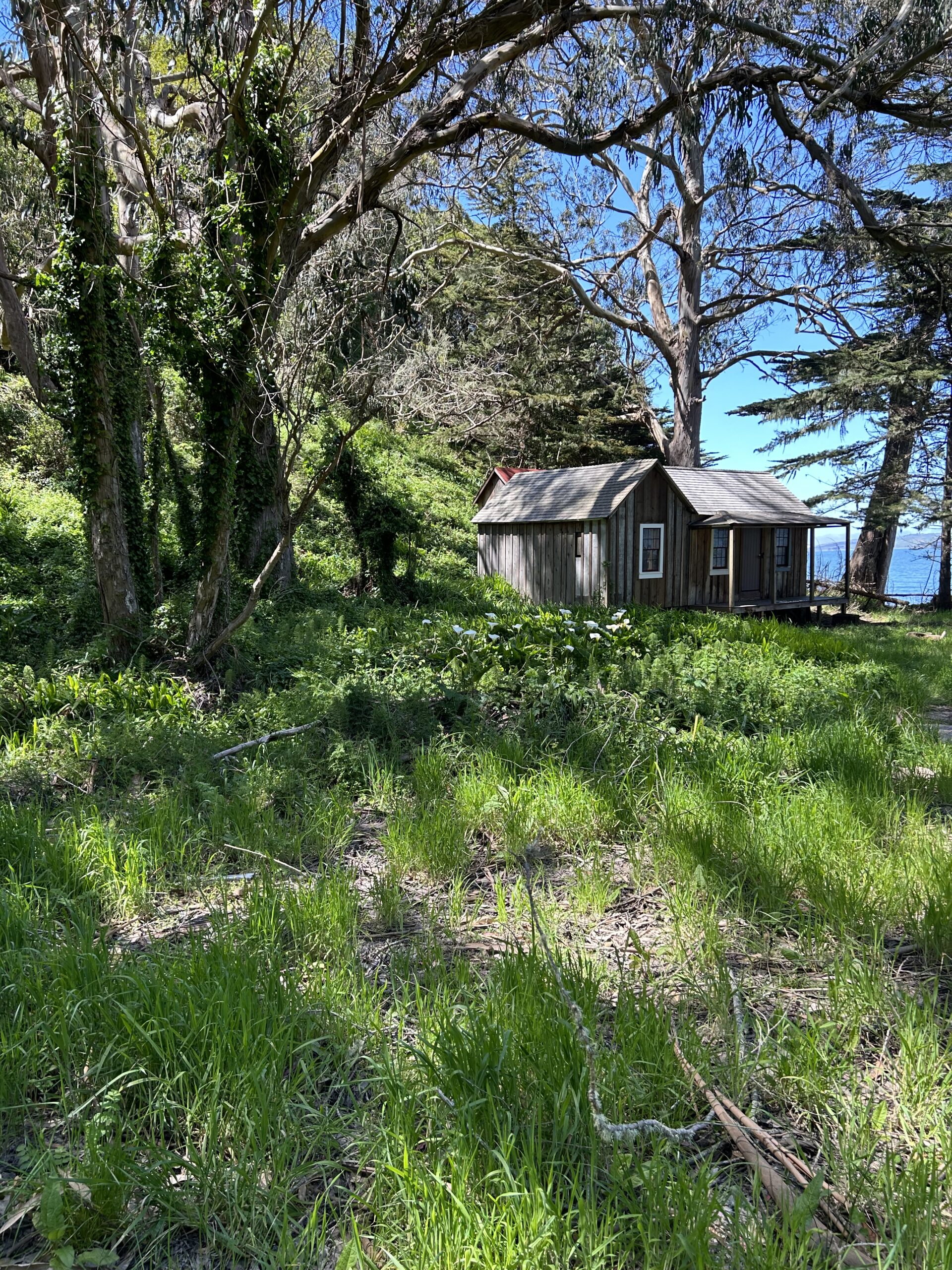 Exploring Felix Cove A Journey of Indigenous Heritage and Advocacy