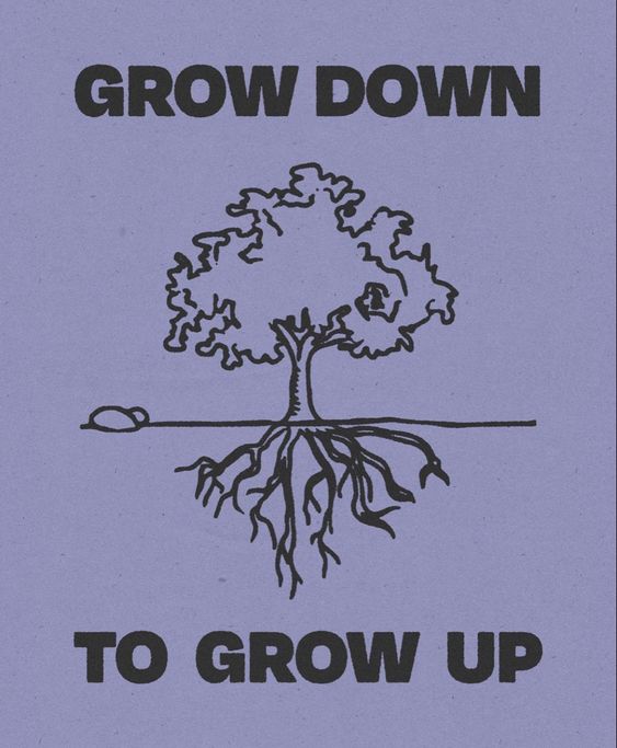 2,000+ Action Inspiring Picture Quotes from High Quality Sources