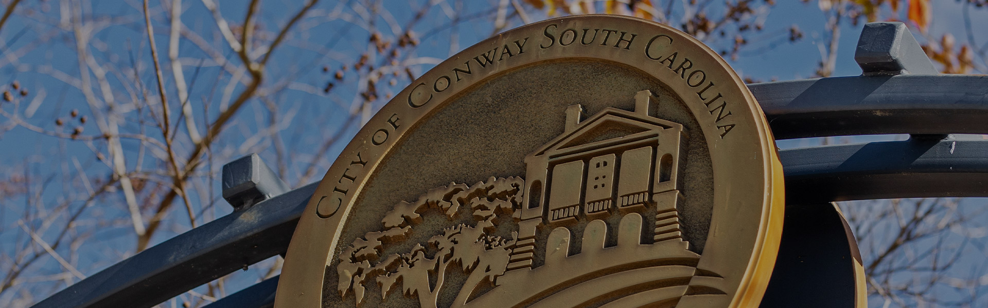 Our Real Estate Agents Shoreline Realty Conway Real Estate Agency