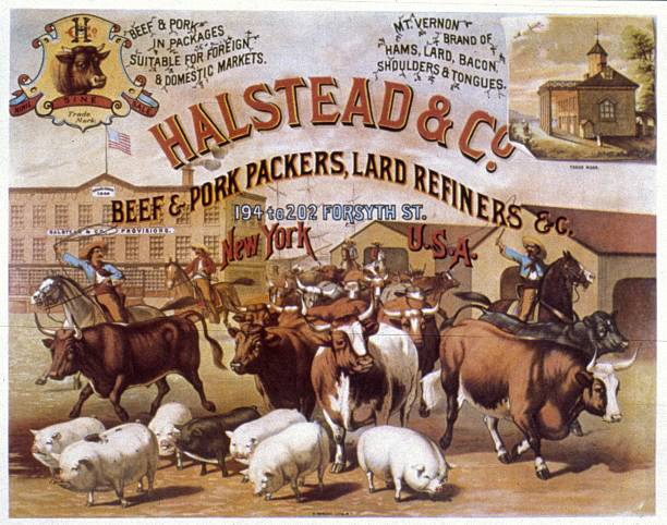 An advertisement for the Halstead Company Beef and Pork packers, New York, which features cowboys rounding up cattle and other livestock. (Photo by MPI/Getty Images)