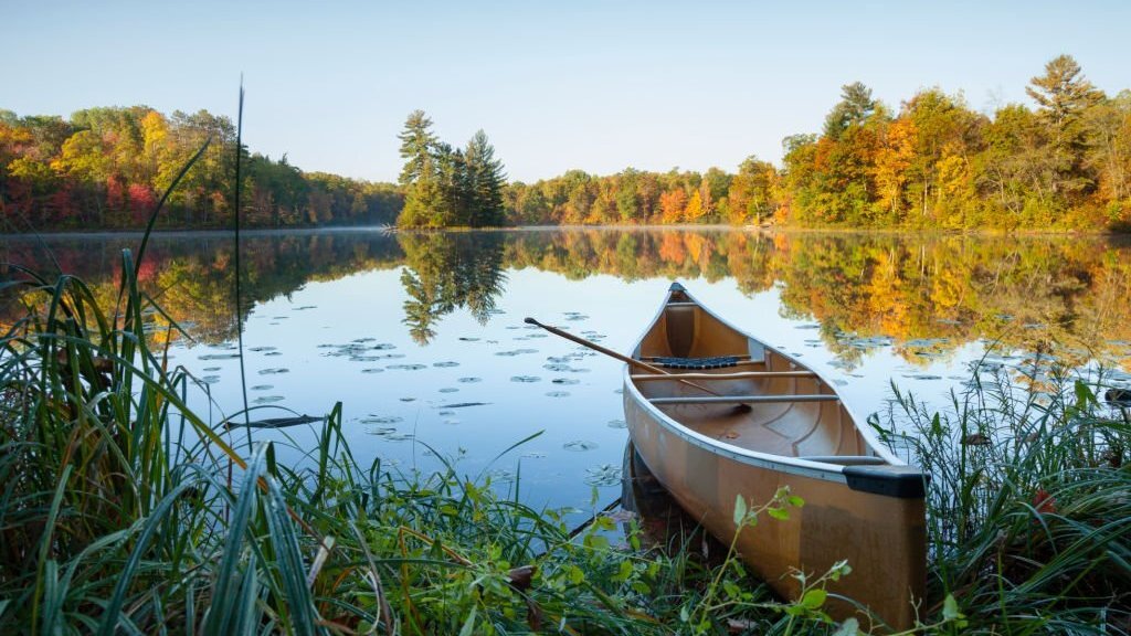 Why Is Minnesota a Good Place to Live? An Ultimate Guide