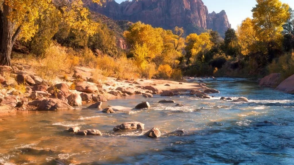 8 Best Things To Do in Springdale Utah in 2023