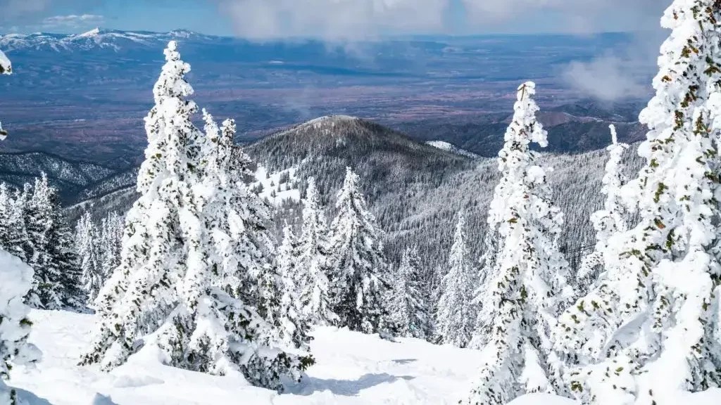 Does it Snow in New Mexico? Everything You Should Know!
