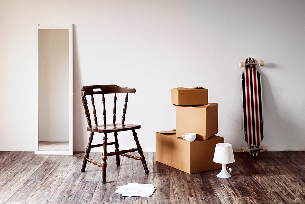 Apartment Essentials You Need For Your First Apartment