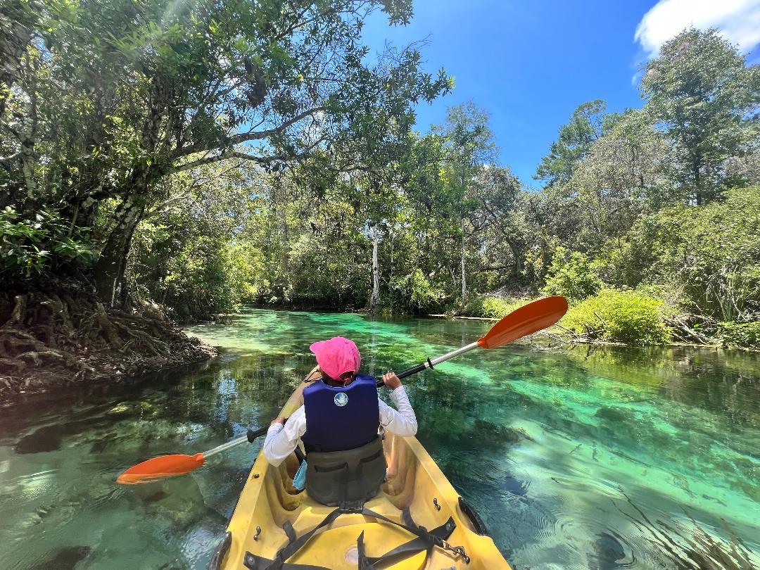 Exploring Weeki Wachee Springs A MustVisit Destination in Florida