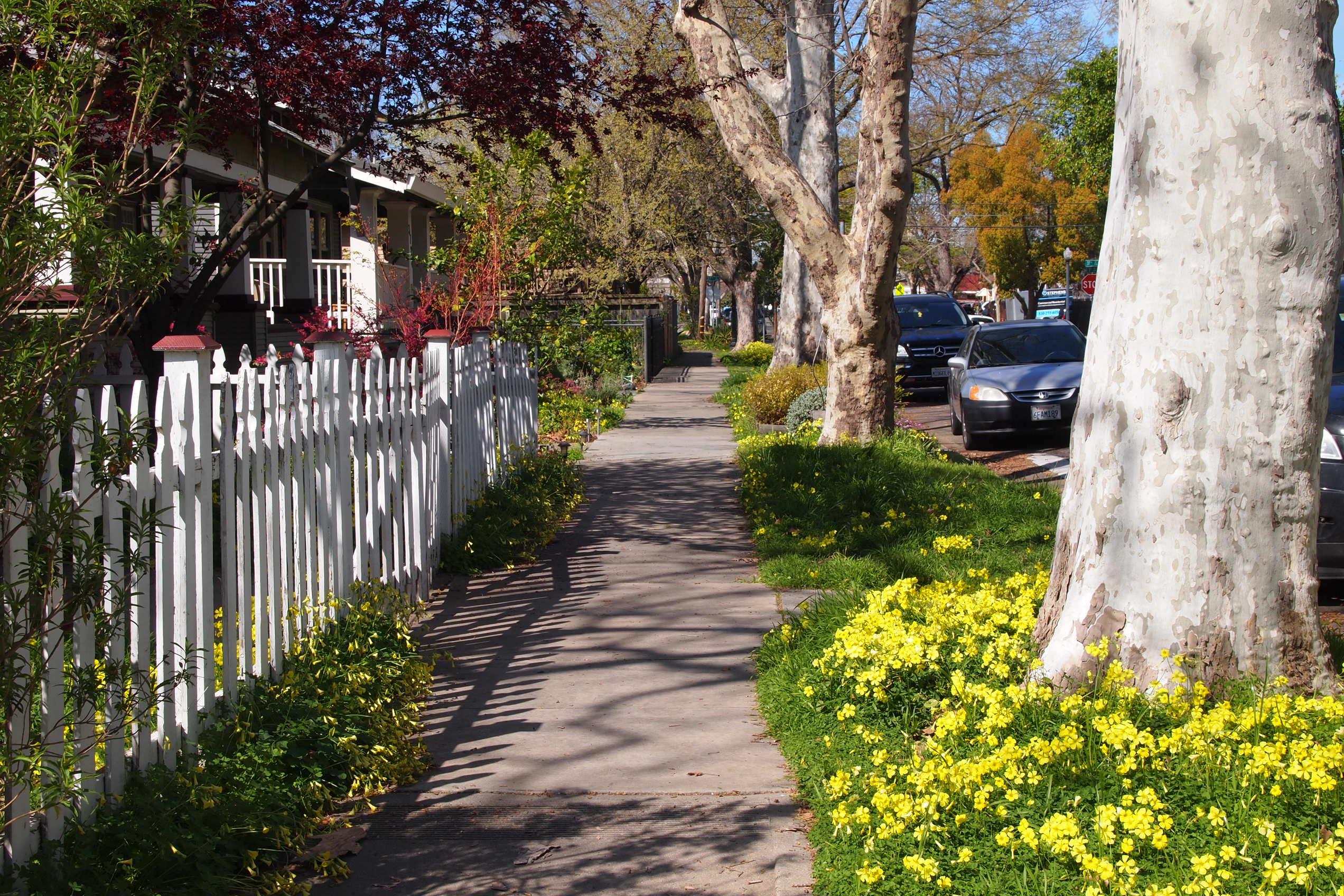 Oak Park Sacramento Neighborhood Guide