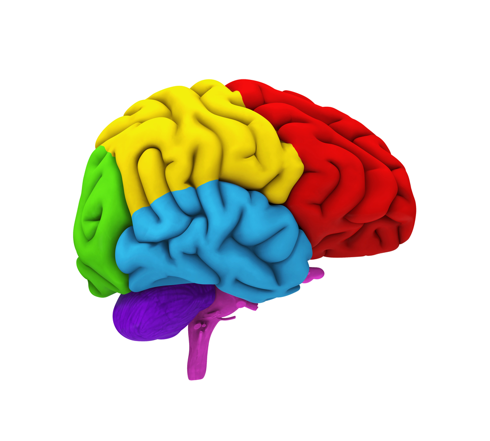 brain Moving with Ease Gold Coast Physiotherapy