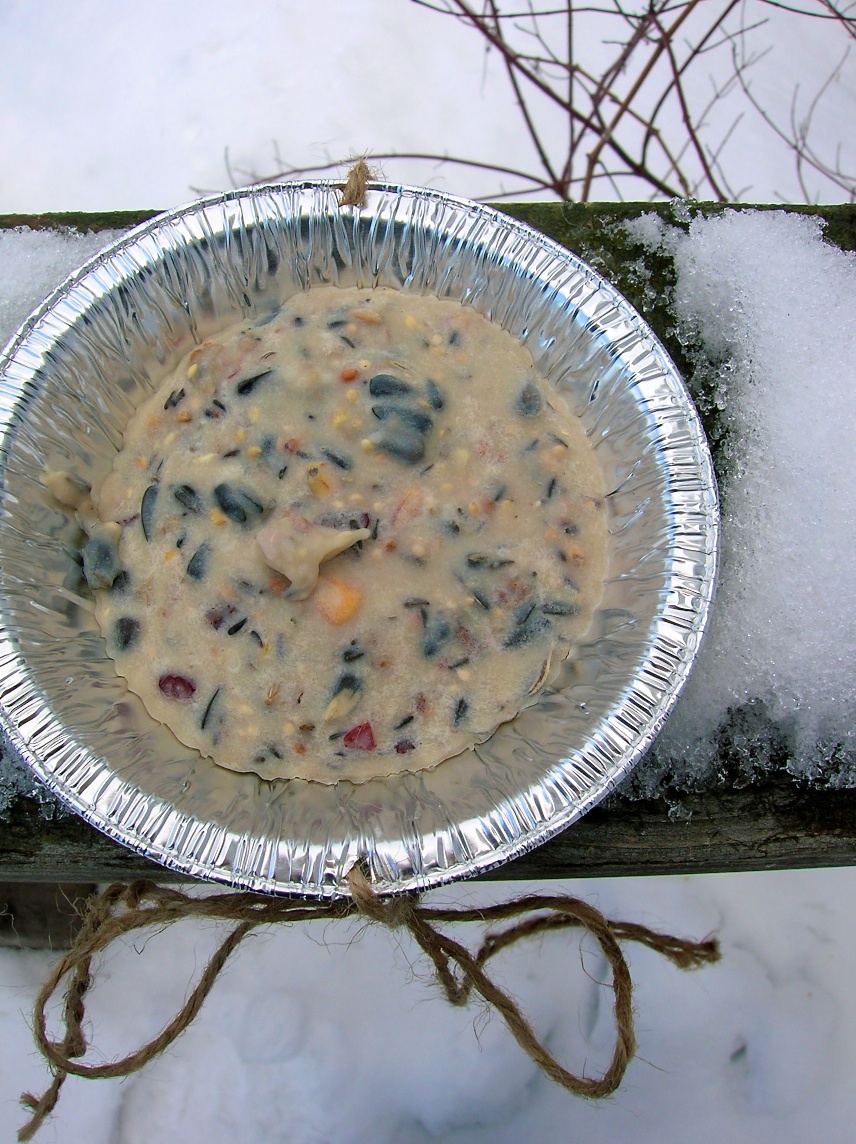 how to make suet treats for the birds movita beaucoup
