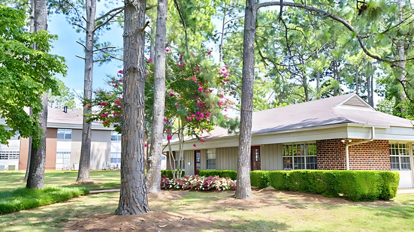 How To Find Pet Friendly Apartments In Tuscaloosa