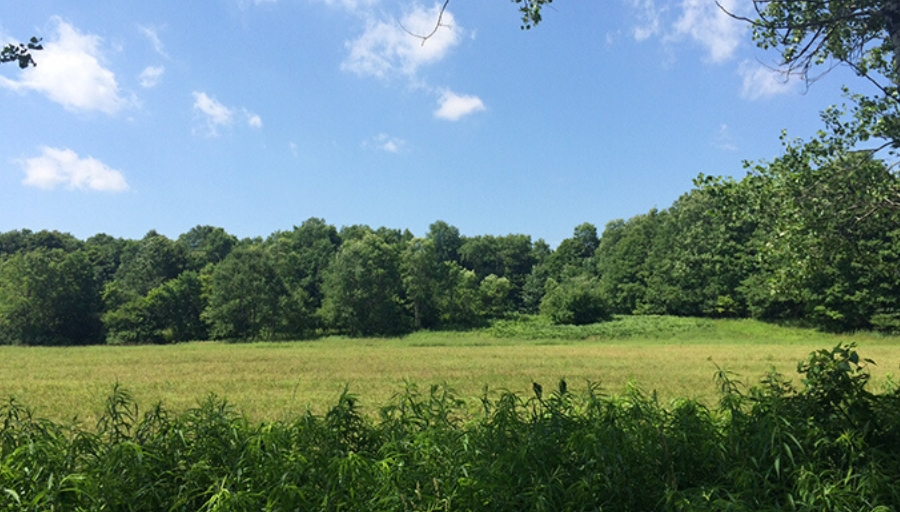 Acreage Mowerks Tractor Mowing, Subdivision Vacant Lot, Acreage