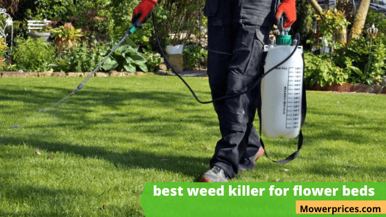Best Weed Killer For Flower Beds 2020 Out Top 15 Choices