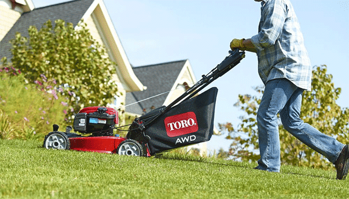 Best Toro Push Mower Reviews of 2021